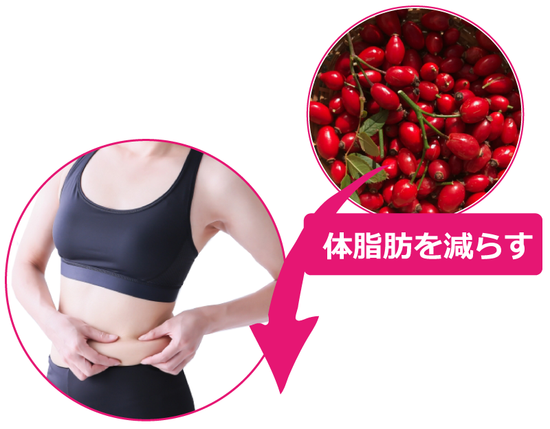 体脂肪を減らす